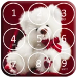 teddy bear pin lockscreen android application logo